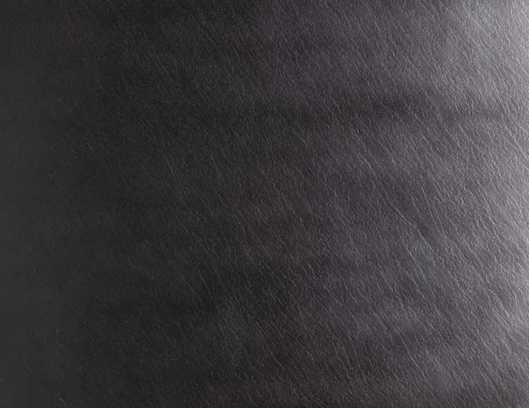 Paroi de douche Milo Slate 91,4 x 243,8 cm noir mat