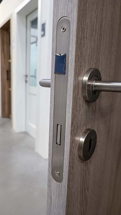 Porte intérieure complète Reale Alpino chêne gris 201,5x83cm structure alvéolaire verticale réversible + châssis 16,5cm