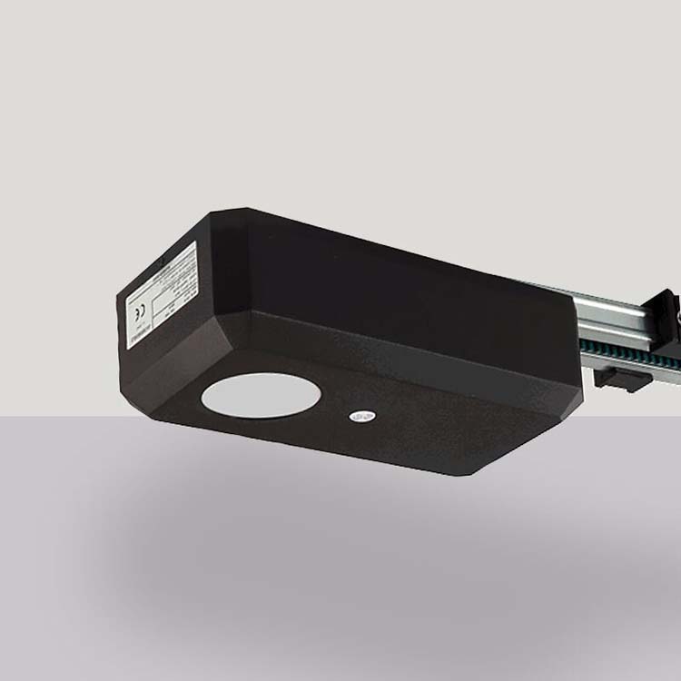 Porte sectionnelle Dora noire avec moteur et ressort de traction L2375xH2125mm