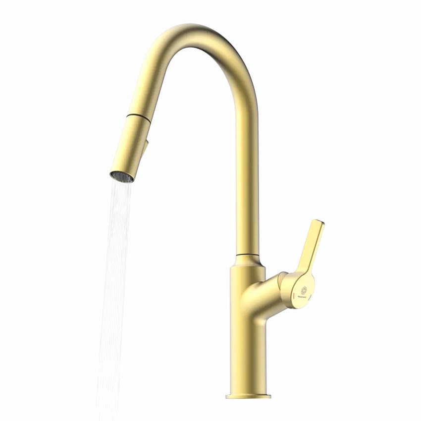 Keukenkraan Wasserwerk WK 12 mat goud met uittrekbare uitloop