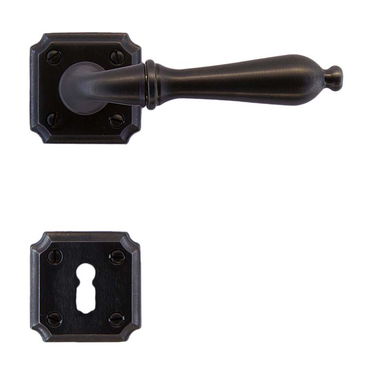 Poignée de porte pro roselle carbon noir rosace barbe