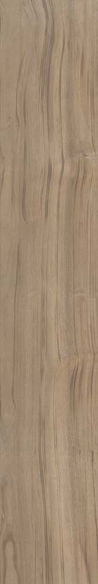 Carrelage de sol et mural Paloma chêne 20x120cm