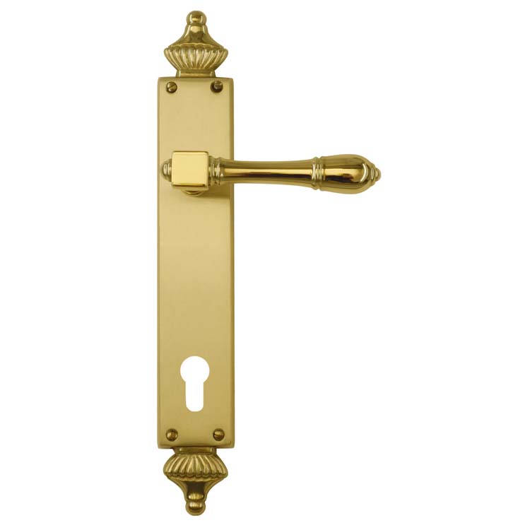 Deurkruk pro capri koper deurschild met cilinder