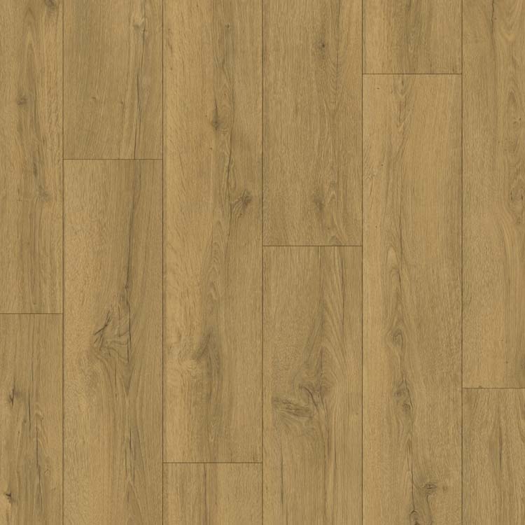 Stratifié Quick-Step Classic 8mm chêne brun miel 120x19cm