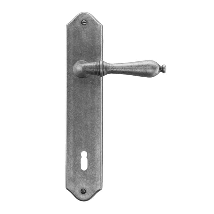 Poignée de porte pro roselle vieil argent plaque 110