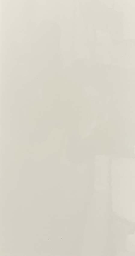 Wandtegel Luna wit glanzend 29.8x59.8cm
