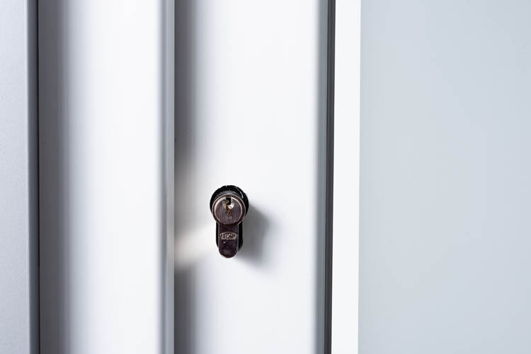 Porte extérieure 3 lignes claires PVC verre mat blanc 980x2180mm ouvrant à gauche