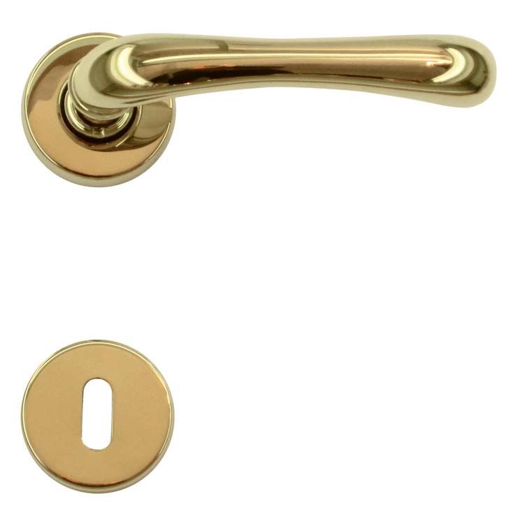 Poignée de porte pro pisa titanium rosace barbe