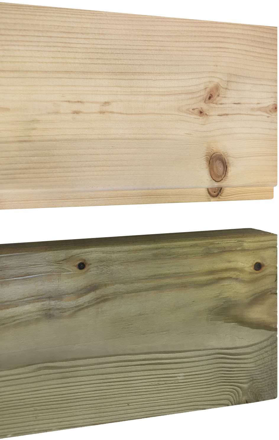 Studio de jardin Amelia L bois de pin naturel 390x300x236cm double porte