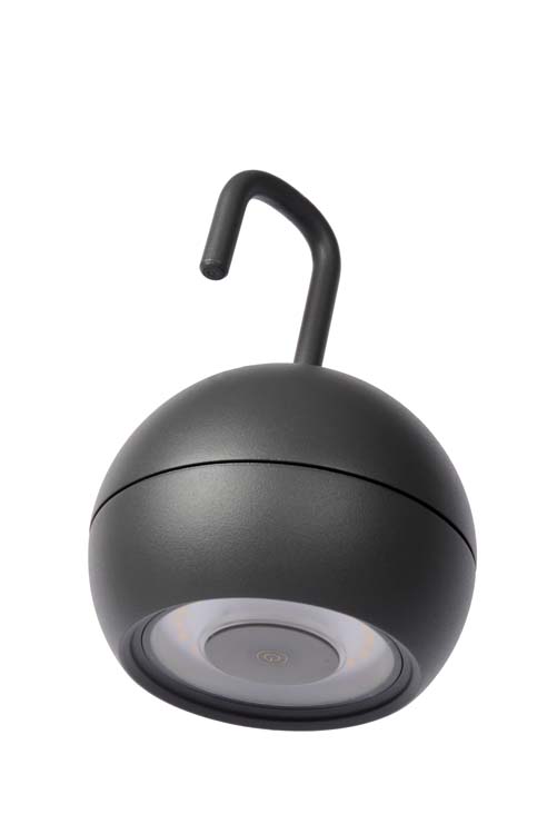 Hanglamp buiten - antraciet - LED - 10W - 2700K - IP54