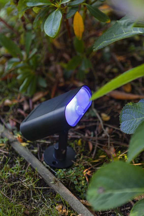 Wandlamp buiten - zwart - H15,5cm - LED - 1x7W - 2700-6500K - IP44 - bewegingssensor