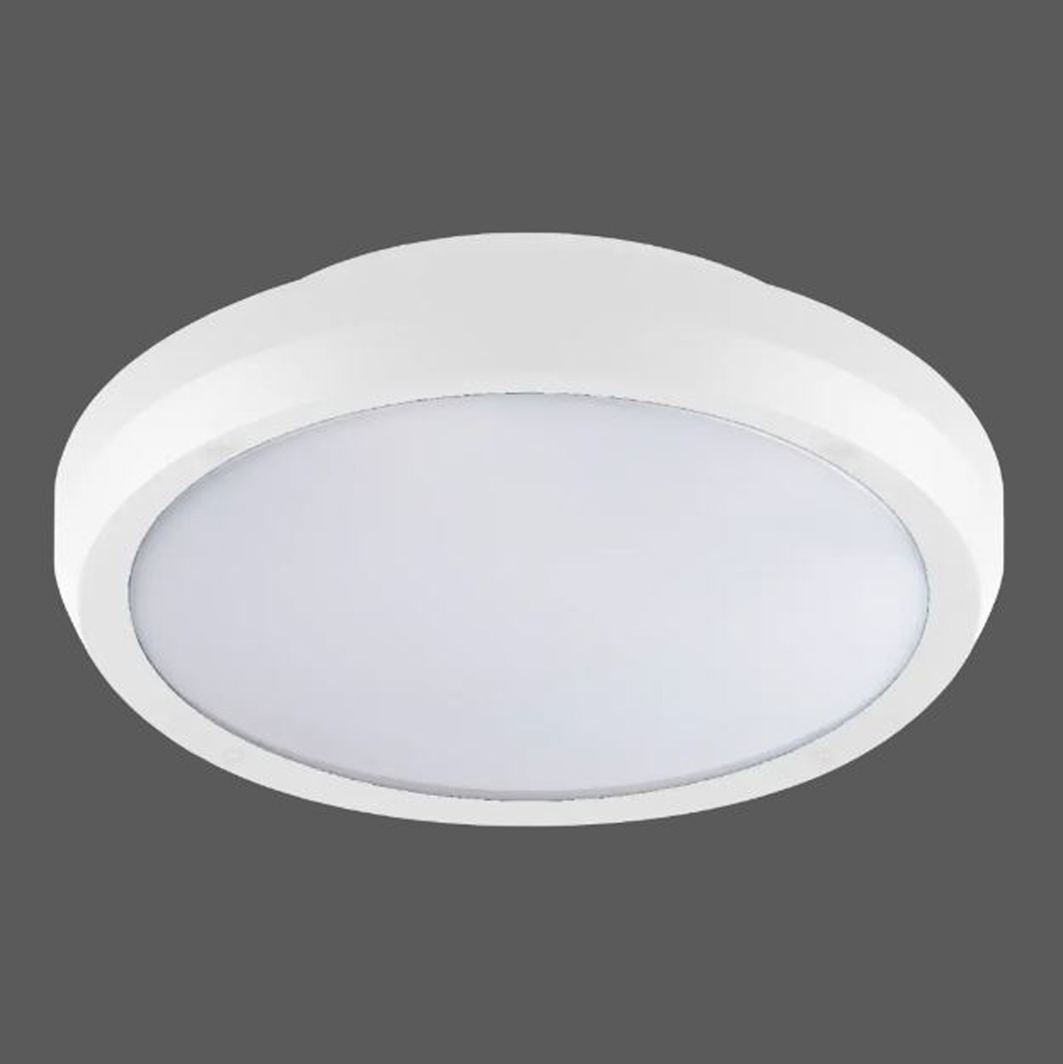 Plafondlamp - wit - Ø30 cm - LED - 1x14W - 3000K/4000K - IP65