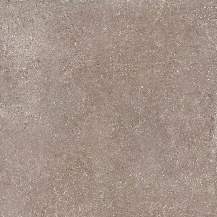 Carrelage de sol et mural Logara taupe 60x60x1cm