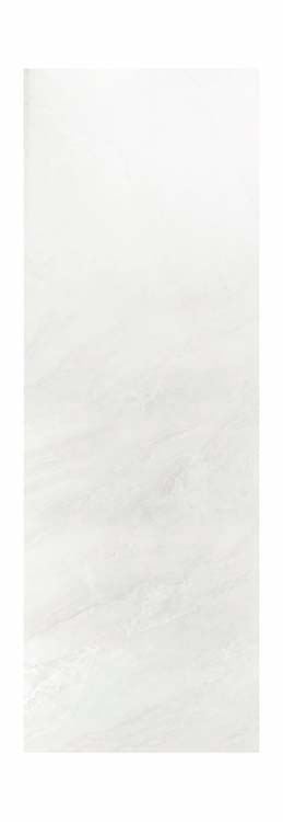 Dumawall XL wandpaneel PVC 90x260cm evora gloss