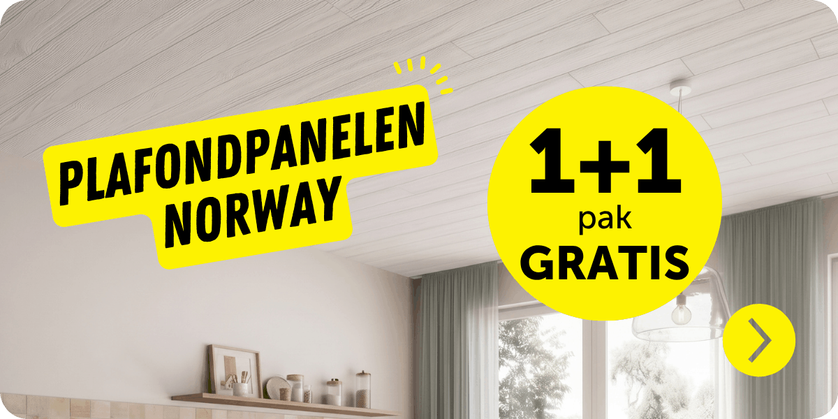 Plafondpanelen actie 1+1