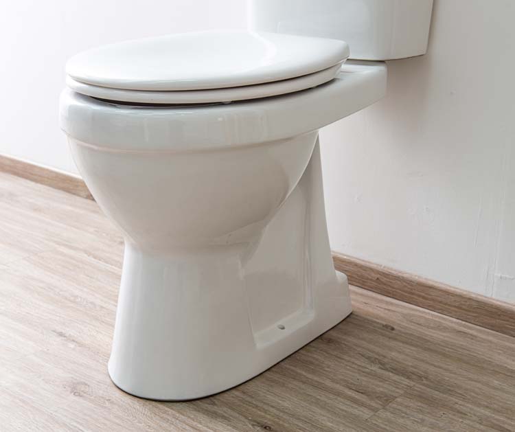 Siège de WC softclose blanc universel rond