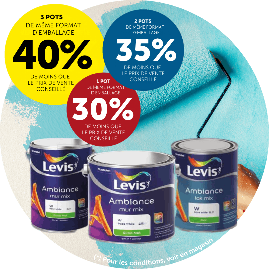 Promotion « Mélange de peinture Levis »