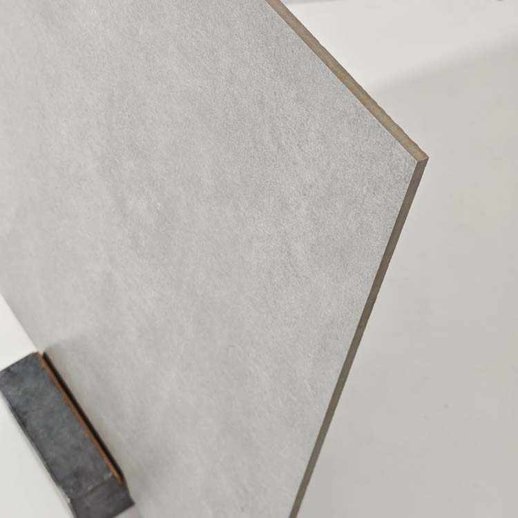 Carrelage sol et mur Level Silver 60x60cm