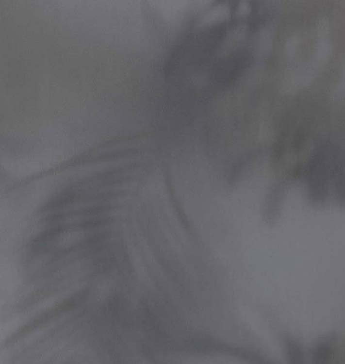 Vinyl op vliesbehang blad blauw 0,53x10,05m