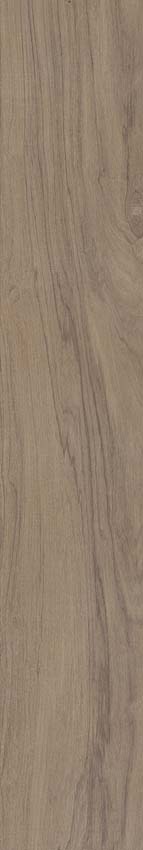 Carrelage de sol et mural Paloma chêne 20x120cm