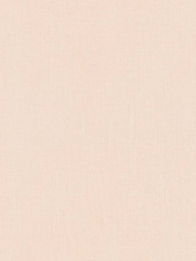 Vinyl op vliesbehang uni beige 0,53x10,05m