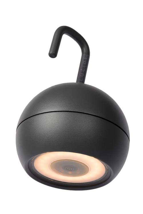 Hanglamp buiten - antraciet - LED - 10W - 2700K - IP54