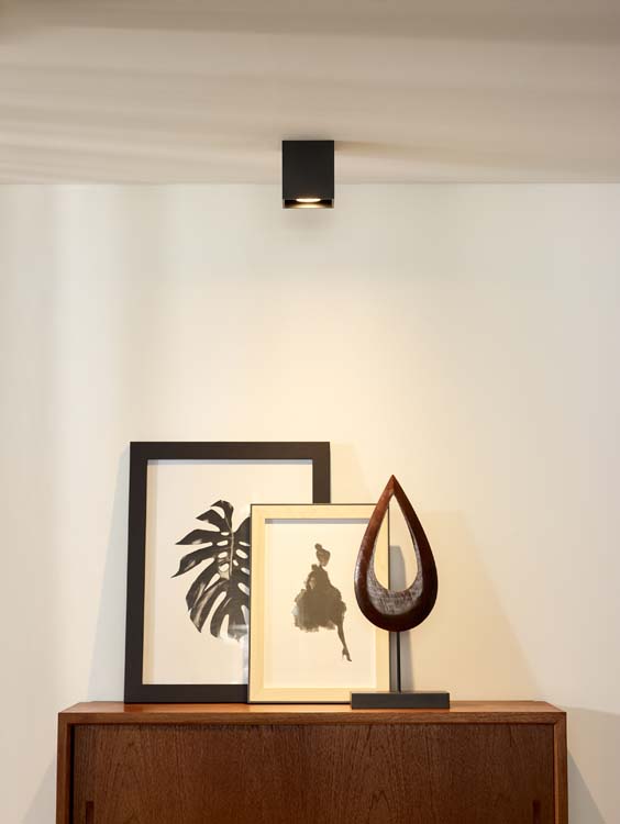 Plafondlamp - zwart - 8,2x8,2x9,5cm - dimbaar - GU10 - 35W