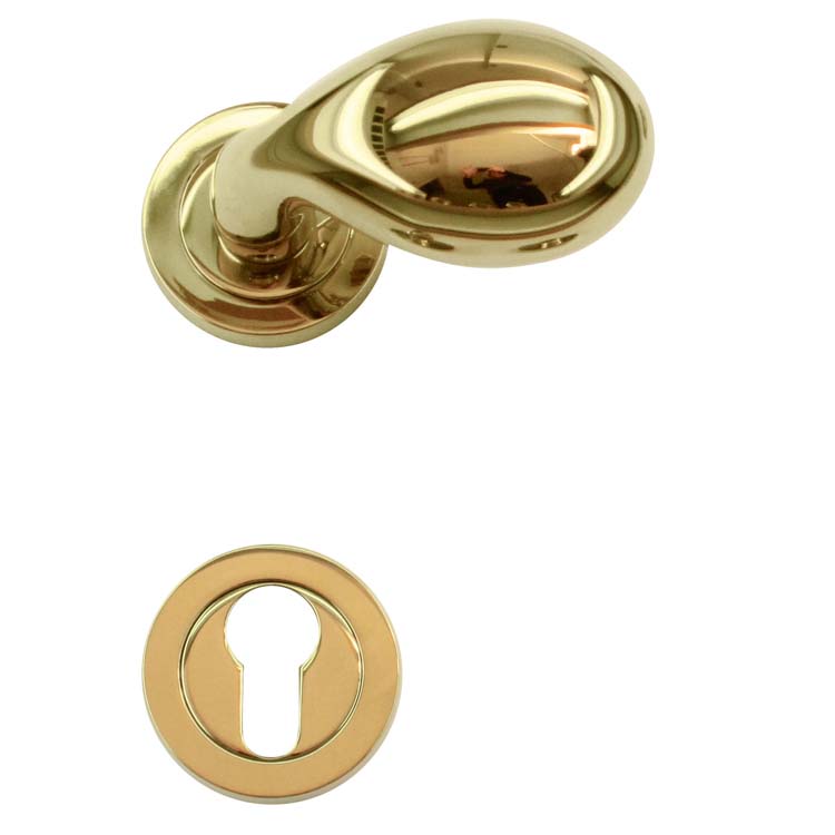 Poignée de porte pro bouleogna titanium rosace cylindre