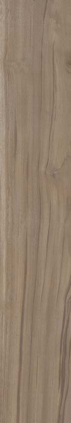 Carrelage de sol et mural Paloma chêne 20x120cm