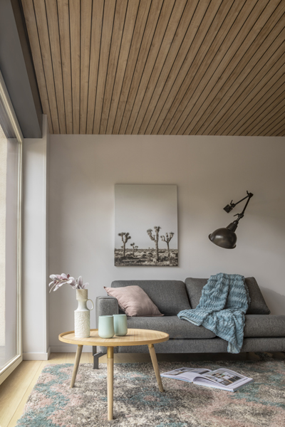 Panneau mural et pour plafond smal épaisseur 9mm oslo