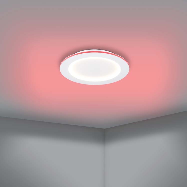 Plafondlamp - wit - Ø45cm - dimbaar - LED - 1x26,5W - 2700K-6500K + RGB