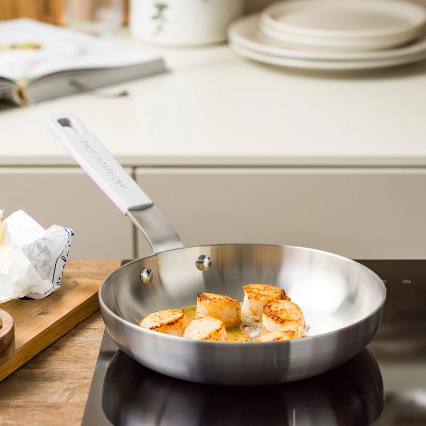Braadpan Dagelijkse Kost Proline Ø20cm PFAS-vrij