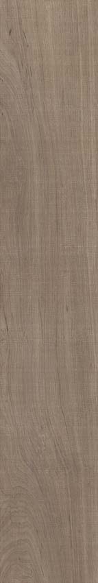 Carrelage de sol et mural Paloma chêne 20x120cm