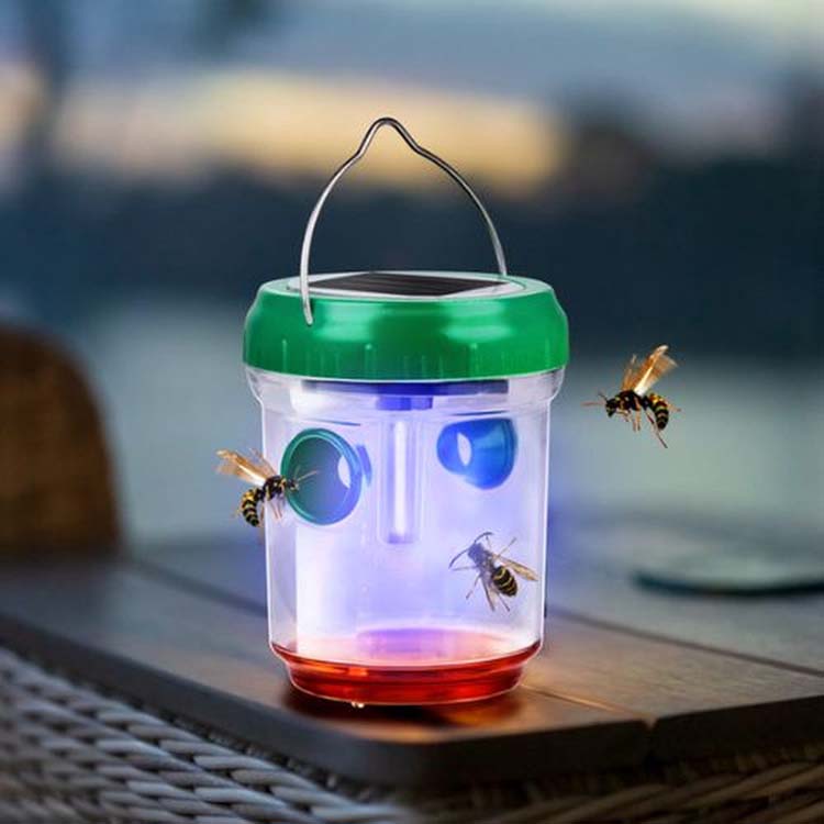 Piège à guêspes avec lampe solaire Piège à guêspes avec lampe solaire
