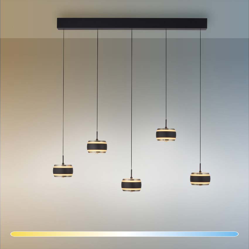 Suspension Easy Lift - Noir - 101cm - Dimmable - 5x8W - 2200-5000K - avec télécommande