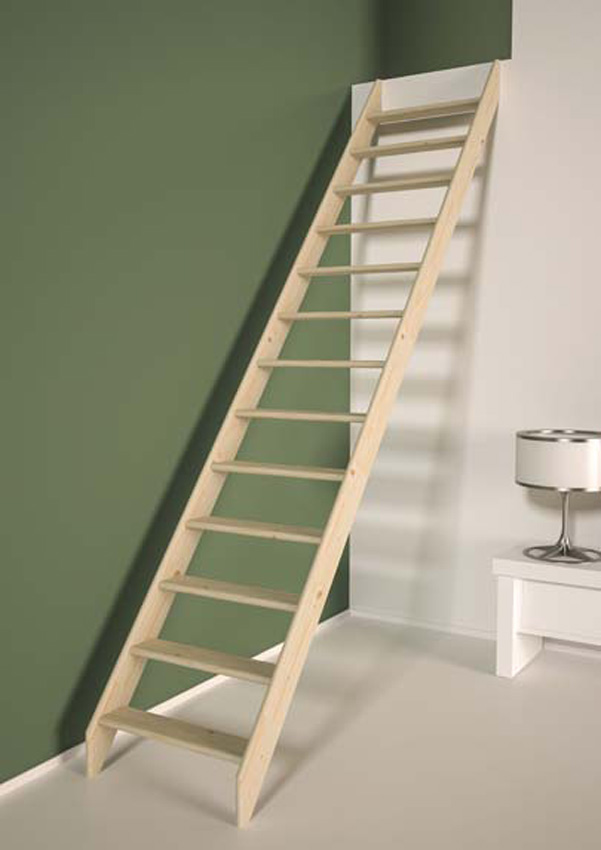 Molenaarstrap Bonn mini 280x65cm
