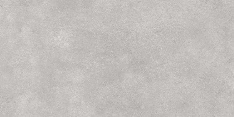 Carrelage de sol et mural Liam gris béton 60x120cm