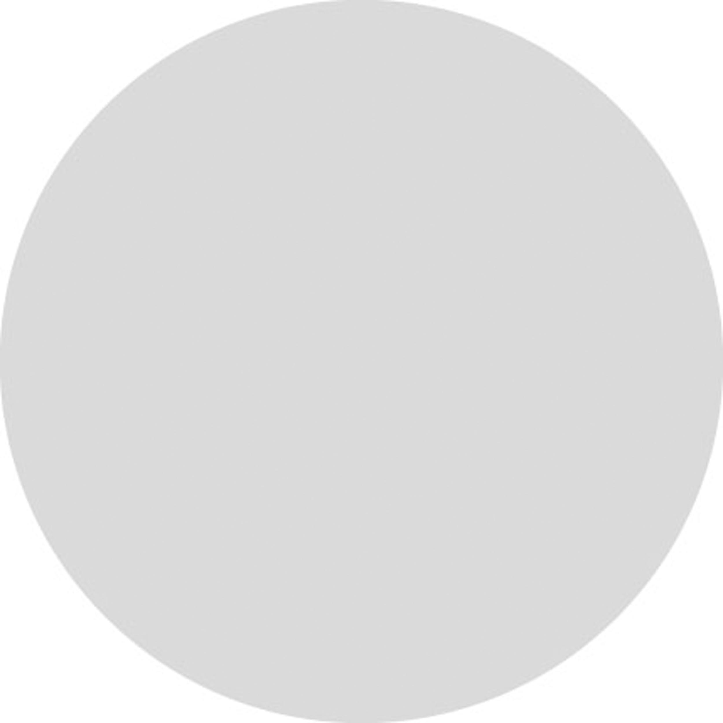 Glas pro rond mat 298mm dikte 4mm
