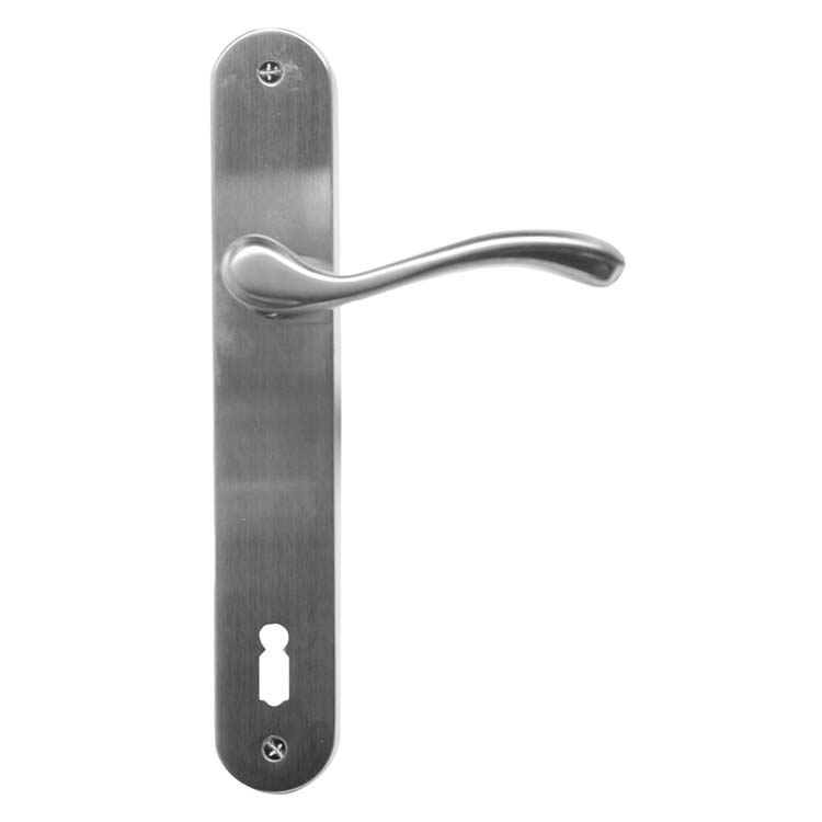 Poignée de porte pro alessandria look inox plaque