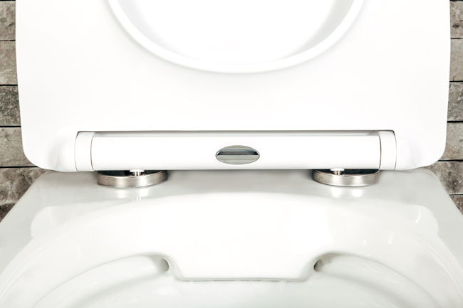 WC-bril Gert softclose wit