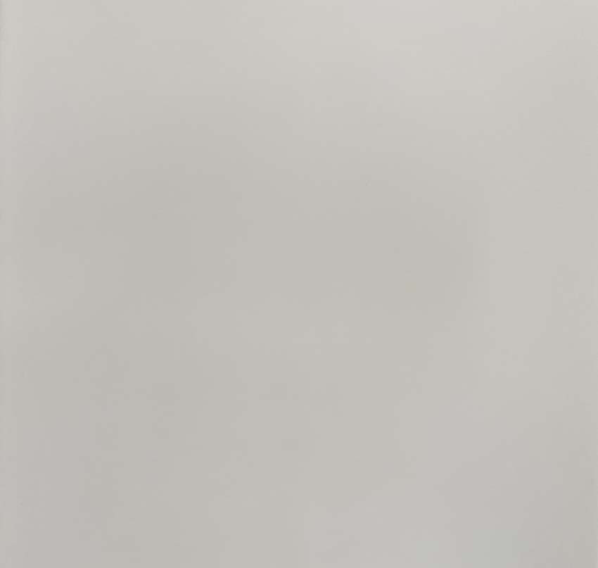 Wandtegel Milo wit glanzend 30 x 60 cm