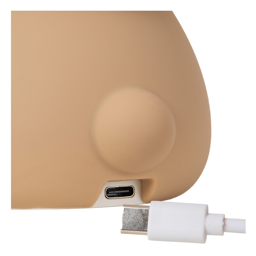 Oplaadbare Nachtlamp Kinderkamer - Accu/Batterij - LED 3 StepDimbaar - 1x0,5W 2100K - RGB - Bruin