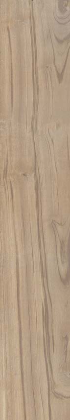 Carrelage de sol et mural Paloma chêne 20x120cm