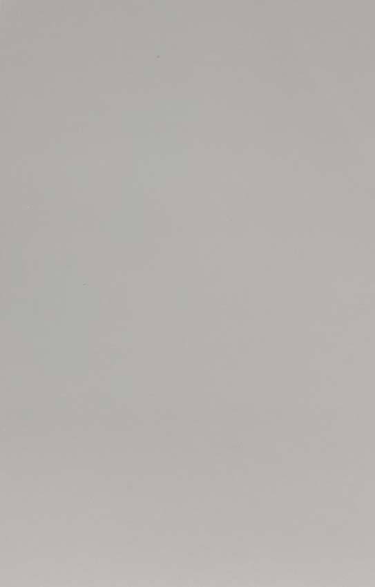 Wandtegel Lore wit glanzend rt 30x60cm