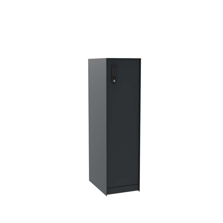 Boîte à colis eSafe Nexus anthracite