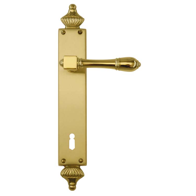 Poignée de porte pro capri cuivre plaque
