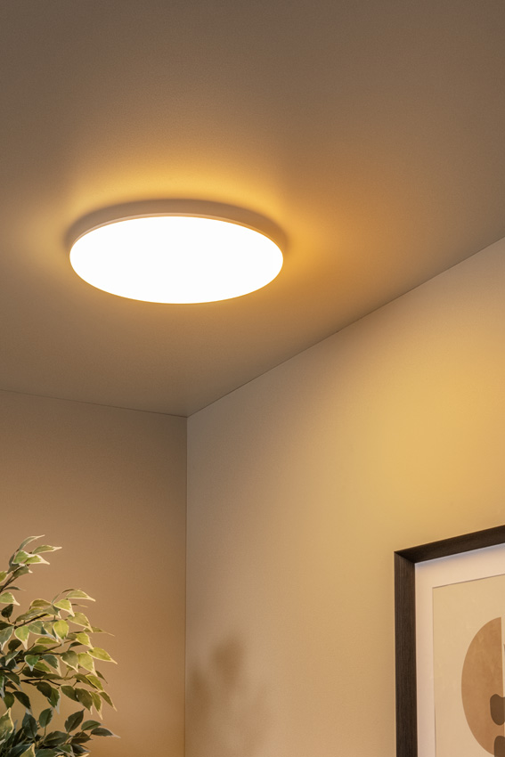 Plafonnier de salle de bains - Ø35cm - LED - CCT - 1x36W 3000K/6500K - IP44 - Opale