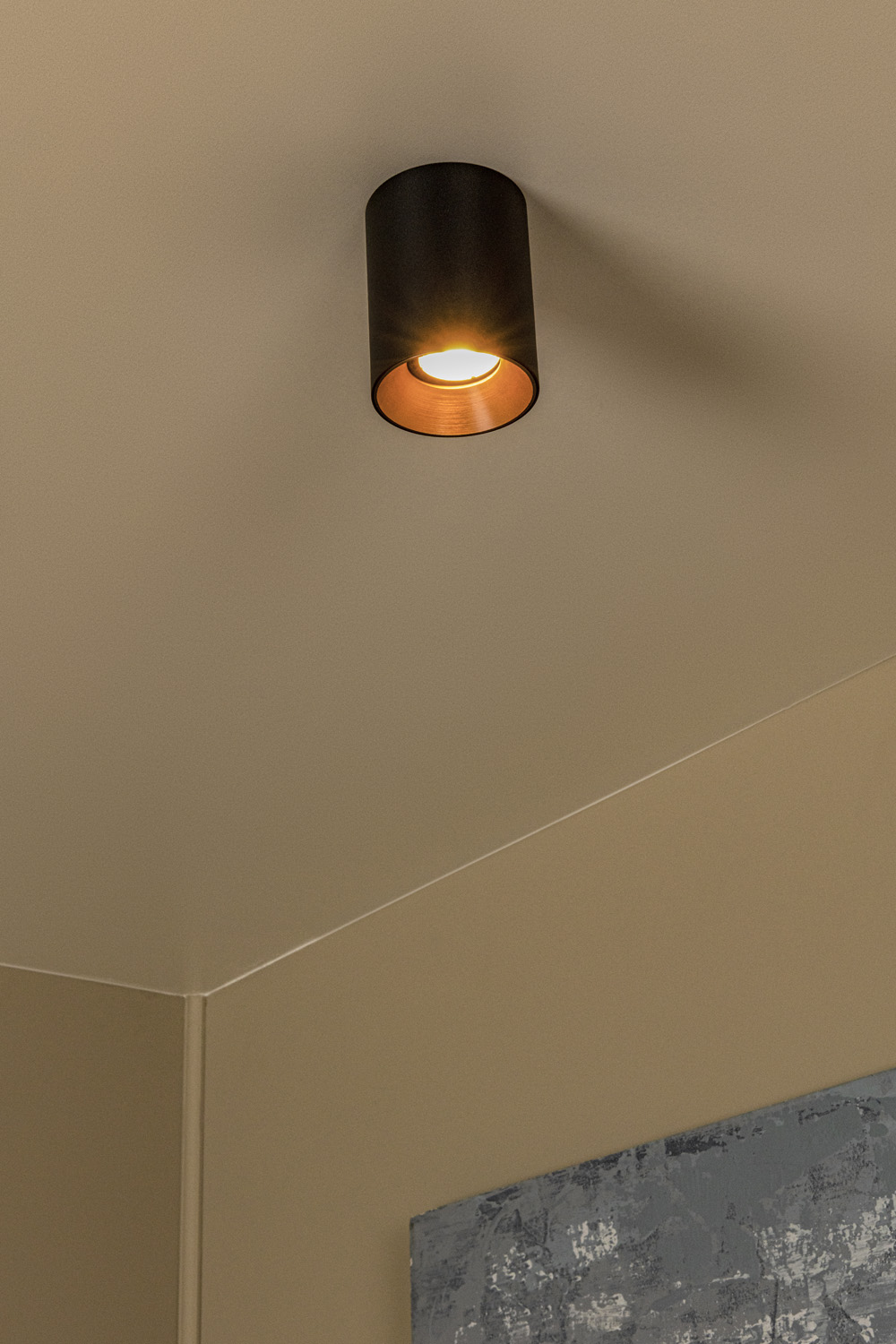Spot plafond - Ø8cm - 1XGU10 (MR16) - Des anneaux interchangeables inclus - Noir