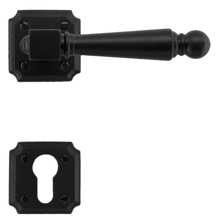 Poignée de porte pro genua noir rosace cylindre